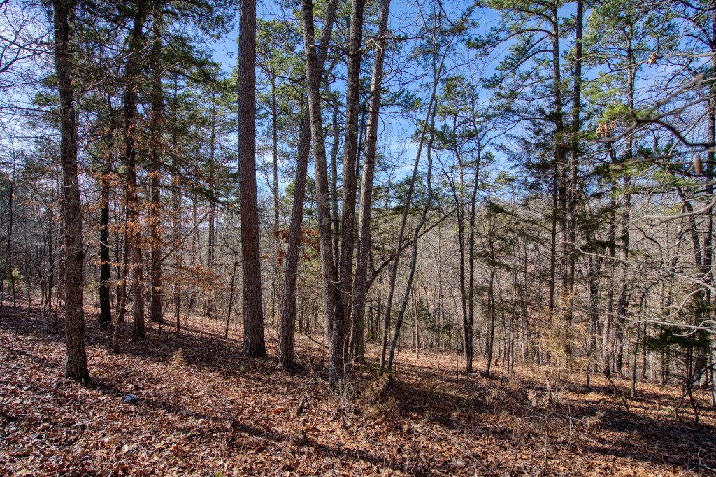Red Fox Ridge - Land