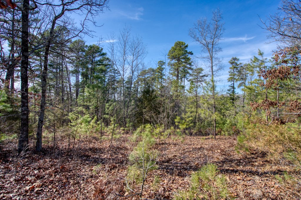 Red Fox Ridge - Land