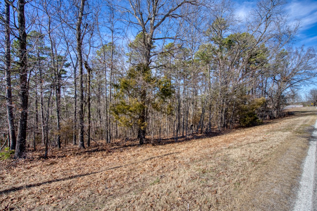 Red Fox Ridge - Land