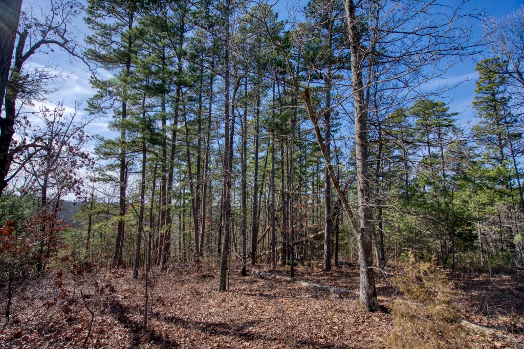 Red Fox Ridge - Land