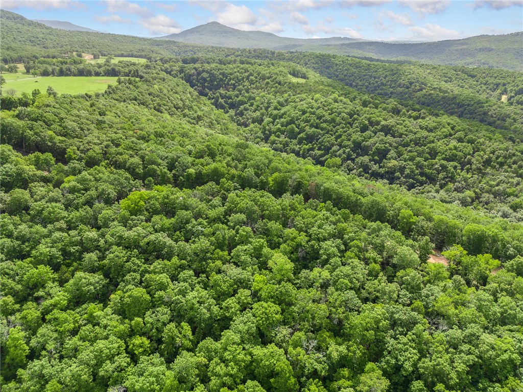 Been looking for a piece of ground near Marble Falls, AR?  This property offers 4 ac m/l, amazing view potential and not too far from the conveniences of southern Boone County.  All utilities are in place to build one or two investment properties or keep it to build that second home you have been dreaming about.  Close to the Buffalo River, just inside Newton County, and all the things Marble Falls has to offer.