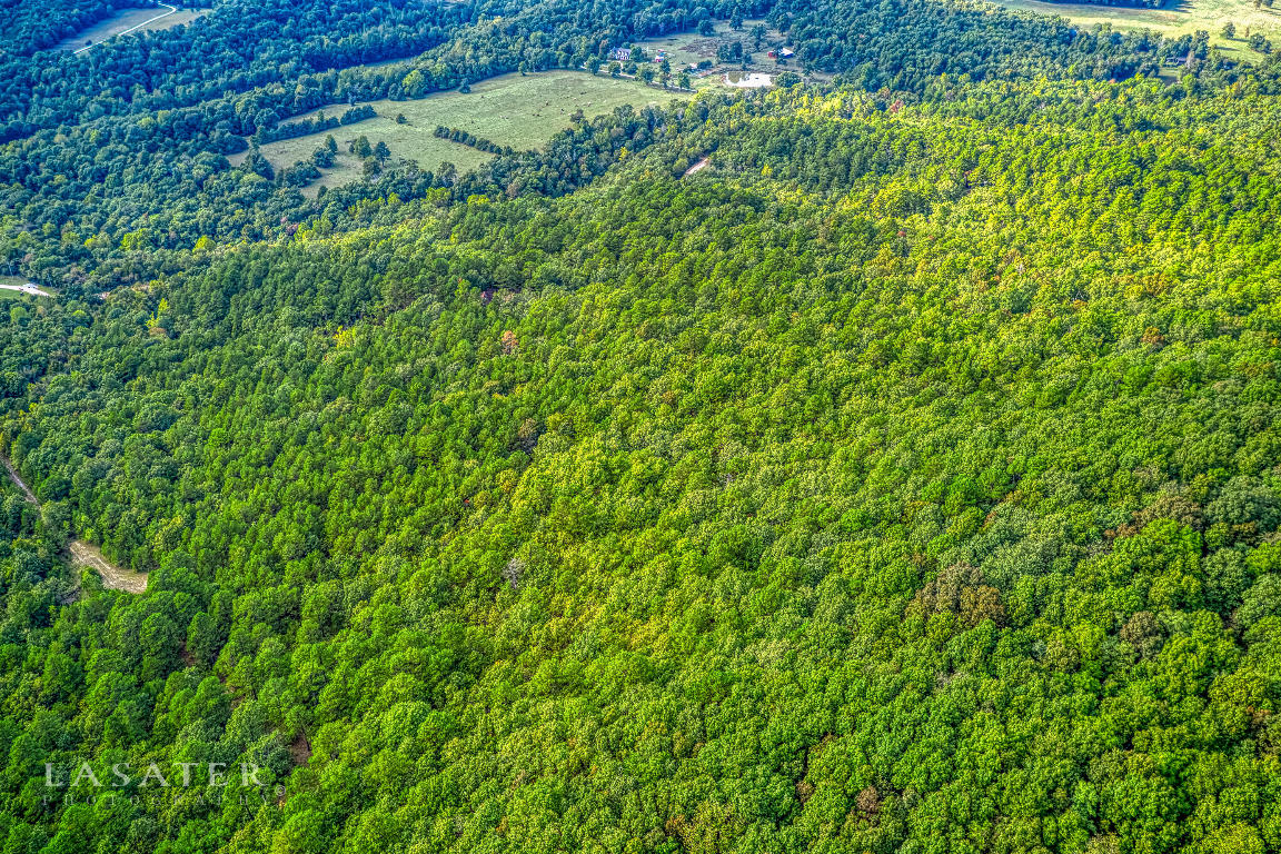 Americana Acres - Land