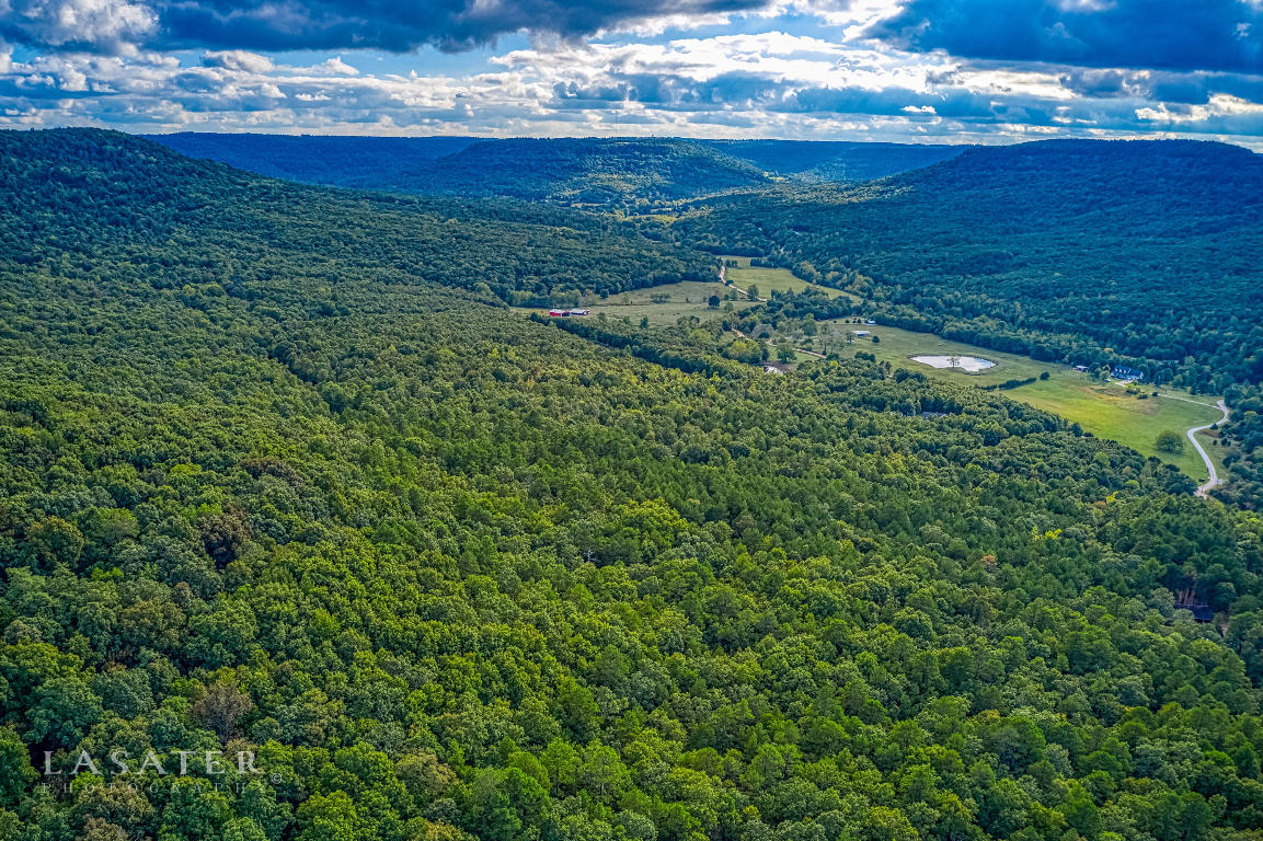 Americana Acres - Land