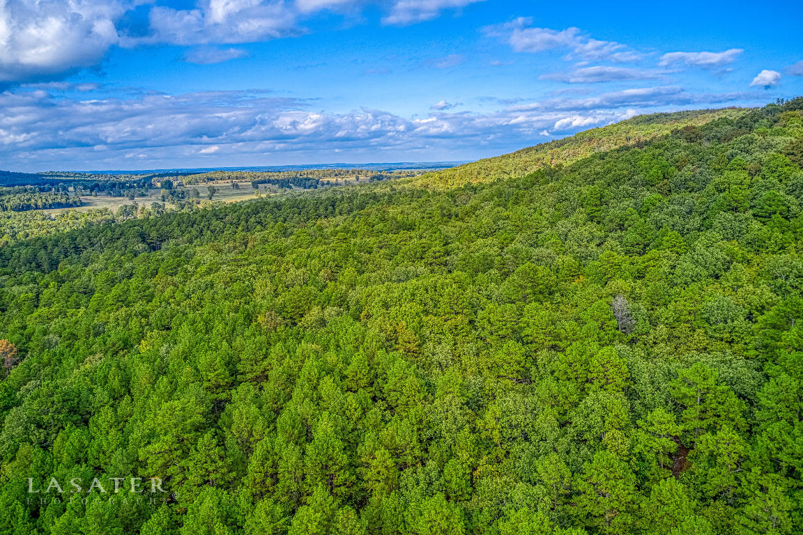 Americana Acres - Land