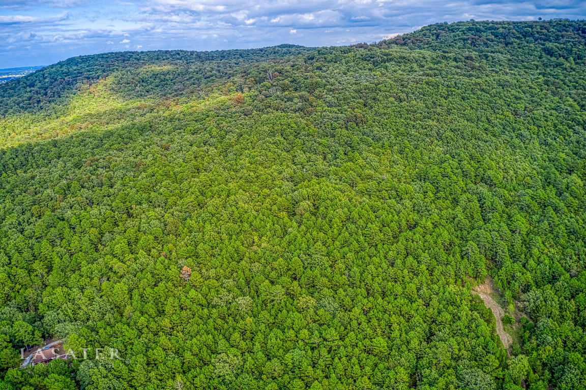 Americana Acres - Land
