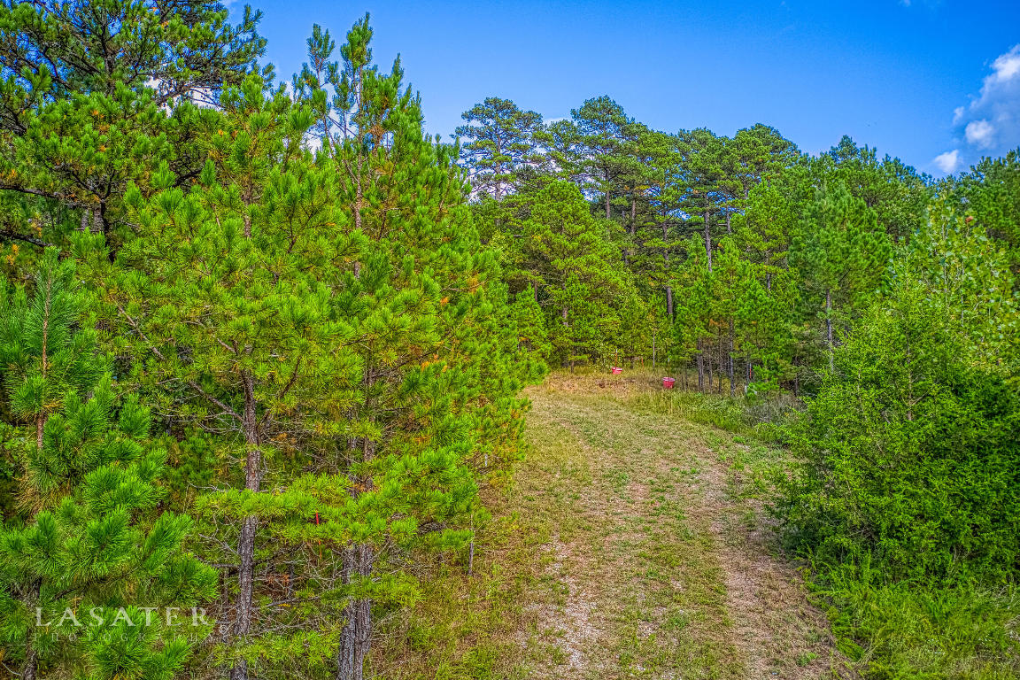 Americana Acres - Land