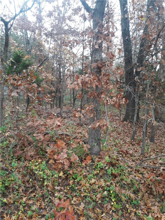 LOCATION, LOCATION, LOCATION.  Build your "dream home" on this great .35 acre level lot, close to Metfield.  Back of lot abuts common property and golf course.  See attached plat map.  Sewer at street.  Hurry - this won't last long.  Quick access to I-49, Bentonville and 549 bypass.