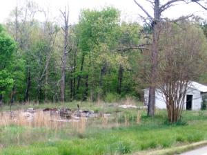 Here's your wealth of outdoor recreation opportunities! Your new vacation spot. Surrounded by Ozark-St.Francis National Forrest. Imagine the convenience & fortuity! Hunting, fishing and more! Copy & Paste link below:  https://www.fs.usda.gov/detailfull/osfnf/about-forest/?cid=fsm8_042910