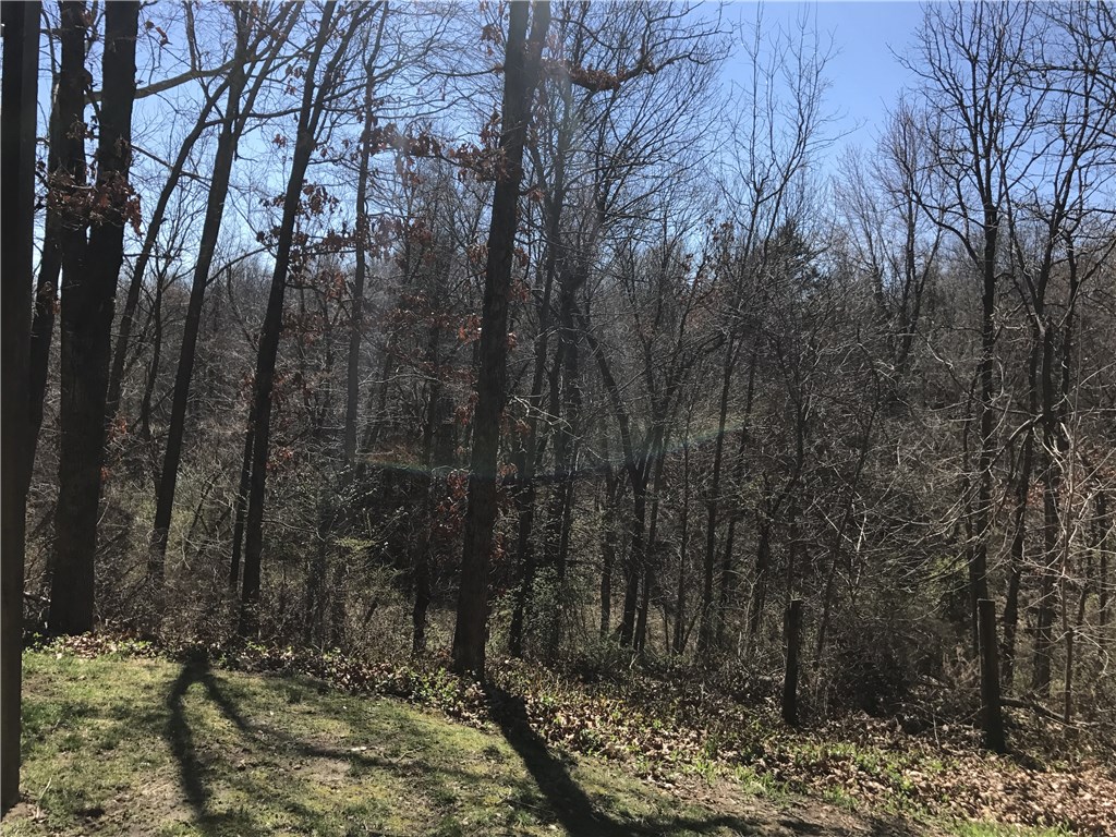Edgewood Suburban - Residential