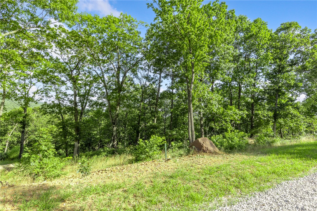 The groundwork is already done for you!  This lot comes fully equipped with underground utilities already in place, including natural gas, fiber optic internet, electric, public water, and sewer. No waiting, no guesswork, no costly setup—just a smooth, ready-to-build opportunity from day one. RME is the newest subdivision in Harrison, AR. If you’ve been dreaming of trading city lights for star-filled skies, RME delivers. Beyond your homesite, you’ll have access to a 350 acre common area reserved for residents, featuring a stocked fishing pond, Kissing Rock Trail, natural springs, Baby Canyon Trail, striking bluff lines and views that stretch for miles.  *Terrapin Creek Rd will be paved in the future, per county officials.