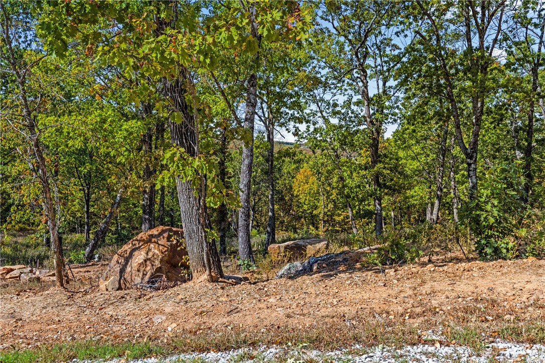Round Mountain Estates - Land