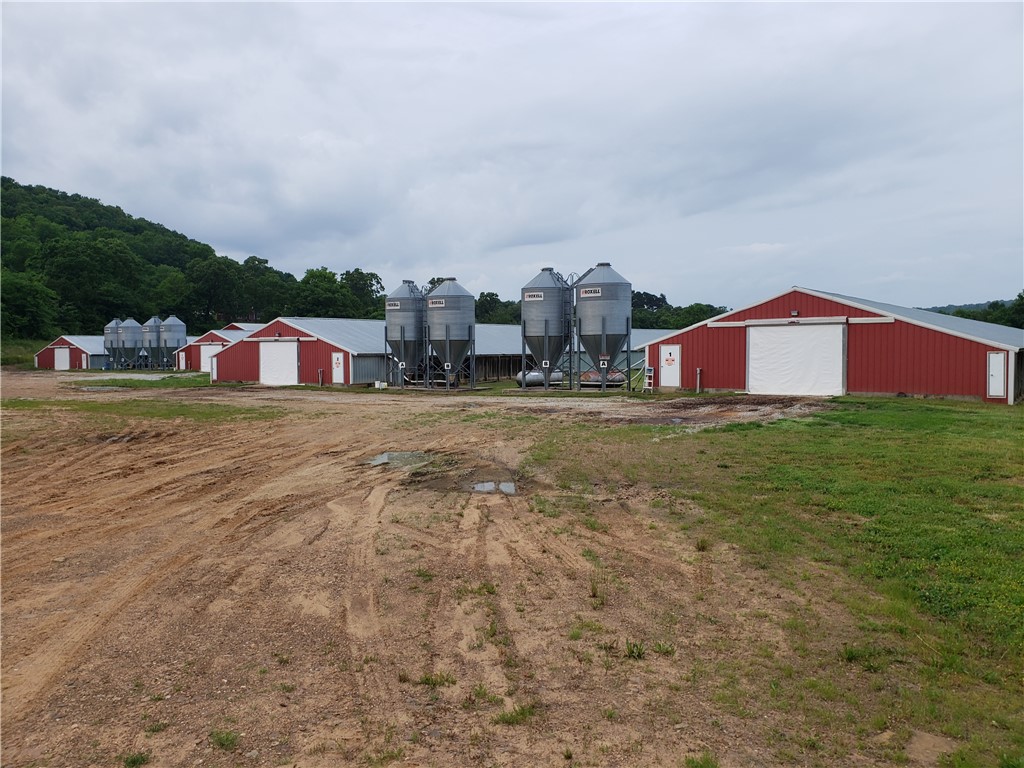 Agent Owned - Nice, clean, well-kept broiler farm near Fayetteville on 19 picturesque acres MOL, with a George's contract for 7.2 lb birds at 52 days. Chicken houses have C3 controllers with high speed interent run to central pump house, ready for hookup to provide remote control of computers. 30x50 shop with electricity and concrete floor. Case tractor w/ loader is included with favorable offer.