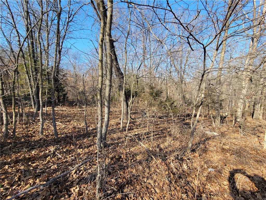 This mildly sloping lot on a cul-de-sac has been perc tested for a 2-bedroom septic system.  Located close to Loch Lomond and just a short drive to Highlands golf course/clubhouse and Branchwood recreation center, this is a very appealing lot to build your next home in a quiet,peaceful setting.  Go check it out!