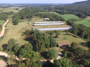 Just under 23 acres with about 18 acres open pasture around 3 poultry houses (not in use) older mobile home that needs work, pond, 2 - 32x380 poultry houses and 1 - 40x400 poultry house, 60x70 red iron litter shed, well with holding tank, backup generator, nipple waters, feedlines, tube heaters, cool cells, 6 feed bins (4 are newer) located a few miles South of Green Forest with county road on 2 sides and Ozark Hill views all around. Close to Eureka Springs AR, Branson MO, Table rock lake, Buffalo River, and Kings River. Property Selling AS-IS.