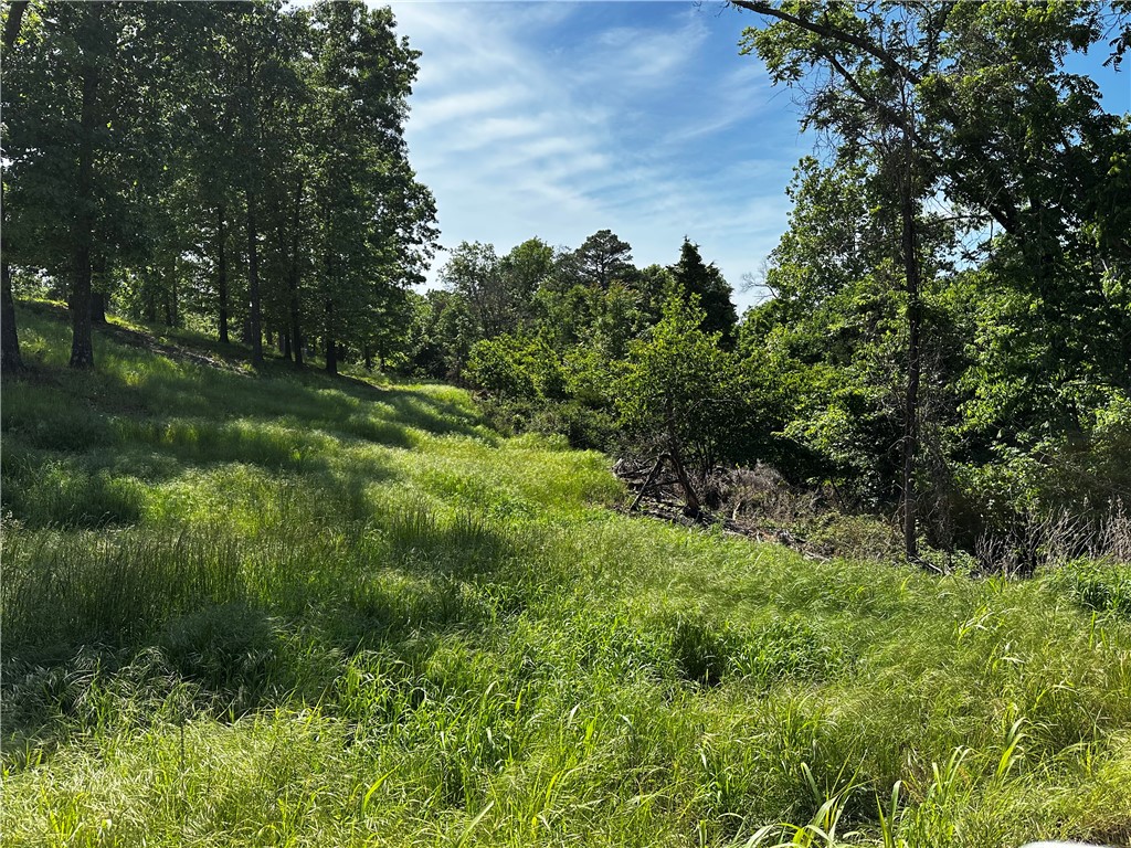 Put your cabin down on this .81 acre lot in the Rocky Branch Resort area.  Electric nearby with municipal water at the gravel Road "Mockingbird Lane".  About a mile and a half from swimming area and public boat launch at Rocky Branch State Park and Marina. Nearby Hobbs State Park hiking and biking trails, War Eagle Mill and Caverns. Additional lots available.