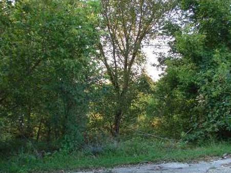 Nice lot in quiet S/D. View of Lake Loch Lomond. Perfect place to build your dream house!