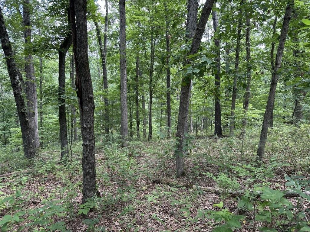 Wellington Sub Bvv - Land