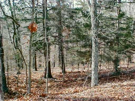 Lost Bridge Village Country Club Rurban - Land