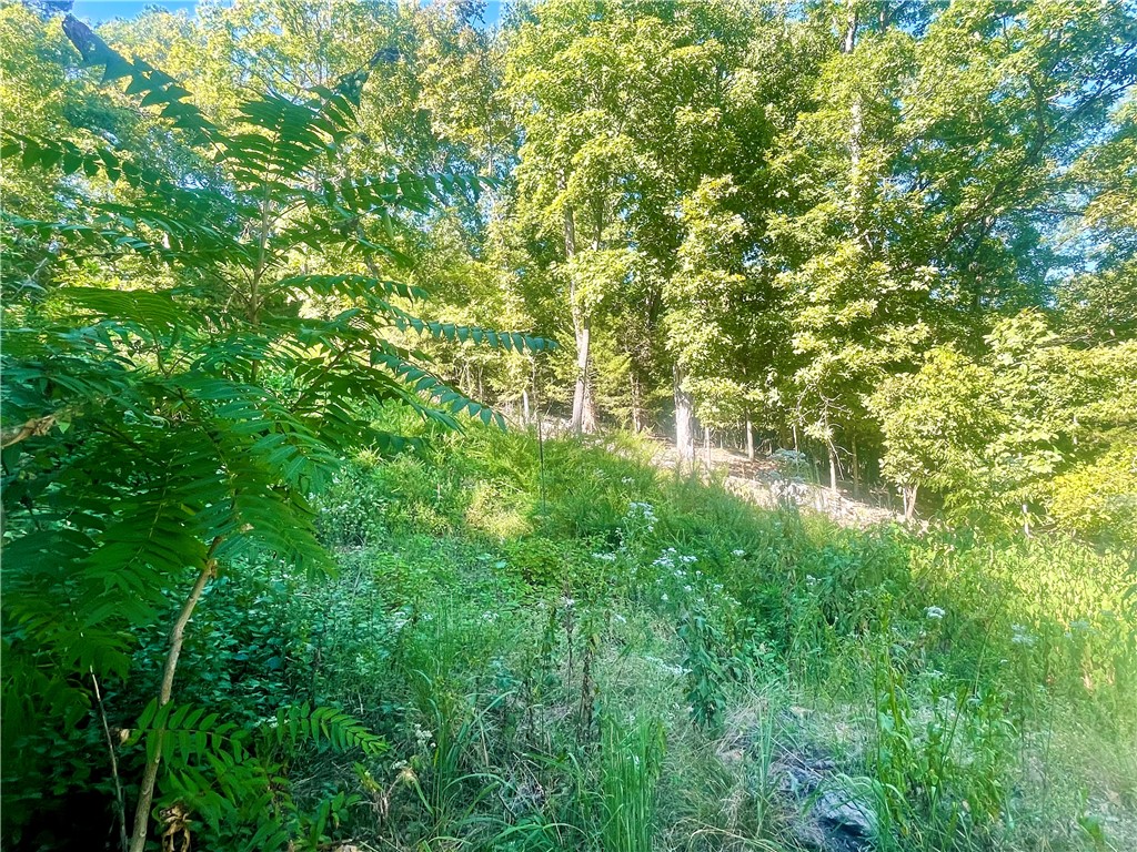26-19-29-Rural - Land
