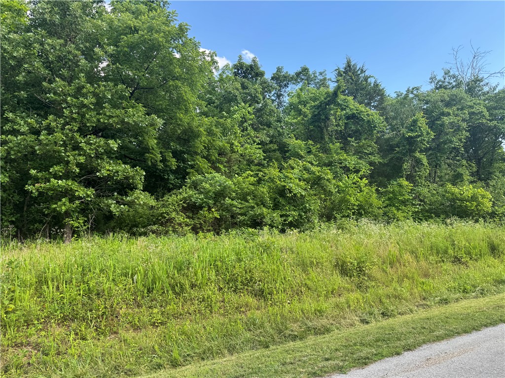 This wooded cul-de-sac lot offers a peaceful and private setting with mature trees and natural surroundings. The property features a gradual upward slope from the street, creating potential for a custom home. This location offers a serene atmosphere while still offering convenient access. A great opportunity for buyers seeking a secluded homesite in a well-established area of Bella Vista.