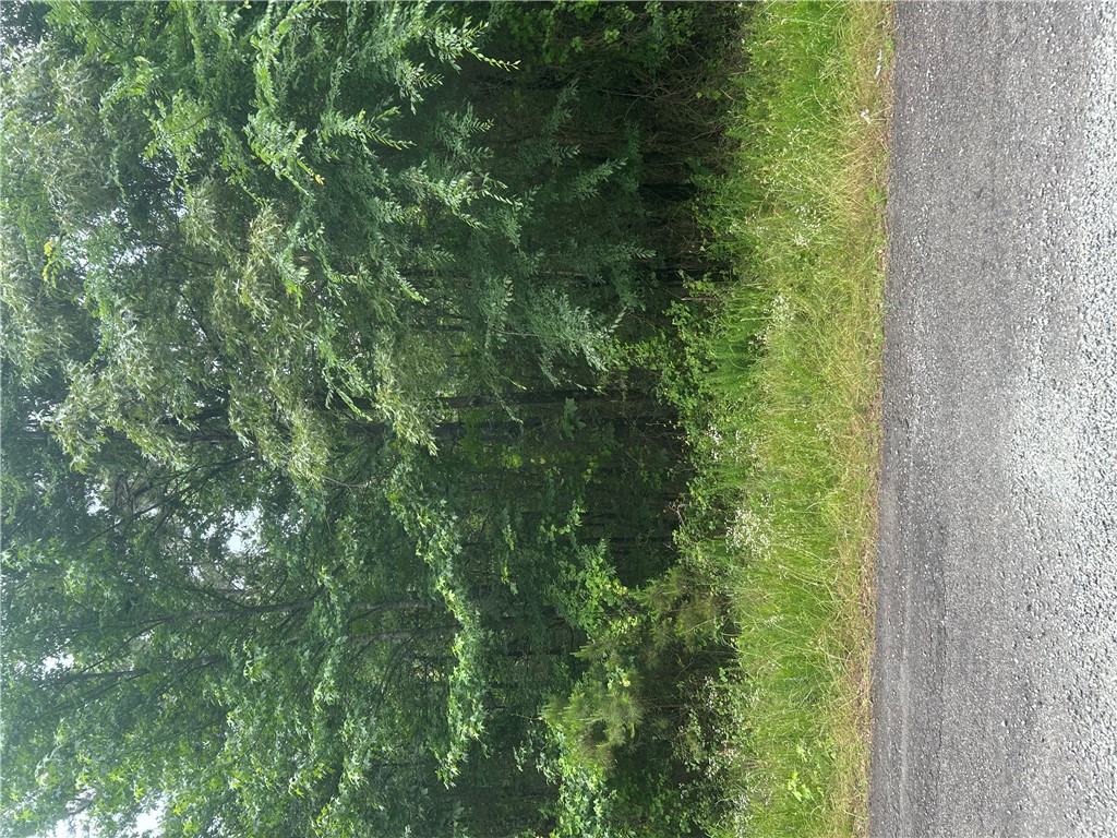 Build your dream home and never see your neighbors!

Can be purchased with an additional 3 acres across the road to the south. (see mls #1348329)