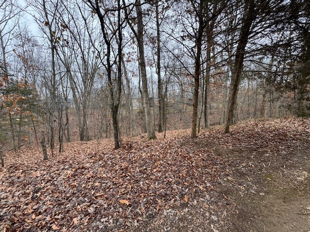 Mountain Bikers Dream!!  The Rago Trail is literally at your front door!  Build your dream home or AirBnb on this .32 acre lot.  Great location.  Minutes from Metfield Clubhouse, Lakes, Trails, and all the amenities that Bella Vista has to offer.  Bella Vista community also has golf, tennis, pickle ball, parks, recreation centers, club houses, restaurants, Marina’s & swimming pools.  Minutes to Bentonville Square & New Walmart Campus