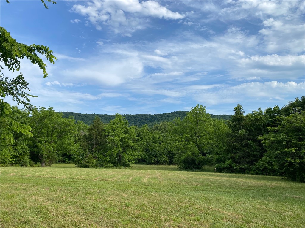 Rare opportunity to own 1.58 pristine acres m/l in the sought after Rea Valley! This beautiful property offers the perfect blend of peace, nature, and convenience. Located just 10 minutes from the world-famous White River, you can have your boat in the water in no time. The land is mostly open and in grass, framed by mature trees, and features a partial view of Hall Mountain. With 430 feet of road frontage, there is ample room for a dream home, a large shop for your toys, or even a farmstand or small cottages. Flippin city water and Entergy power are already at the street (septic system required for dwelling). Enjoy the quiet of the country while staying close to all the amenities of Flippin, Mountain Home, and Yellville. Whether you’re looking for a weekend getaway near the river (without the river price) or a permanent residence with room to grow, this versatile lot is ready for your vision. Don't miss out on one of the few available spots in this area!