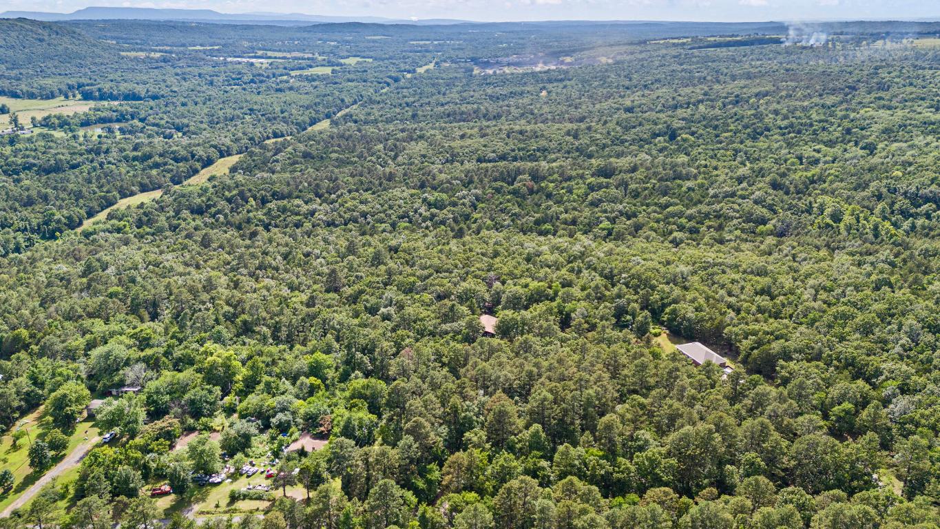 14.53 acres +/- in the Atkins School District! 15 mins from Russellville but still has a country and secluded feel to it!