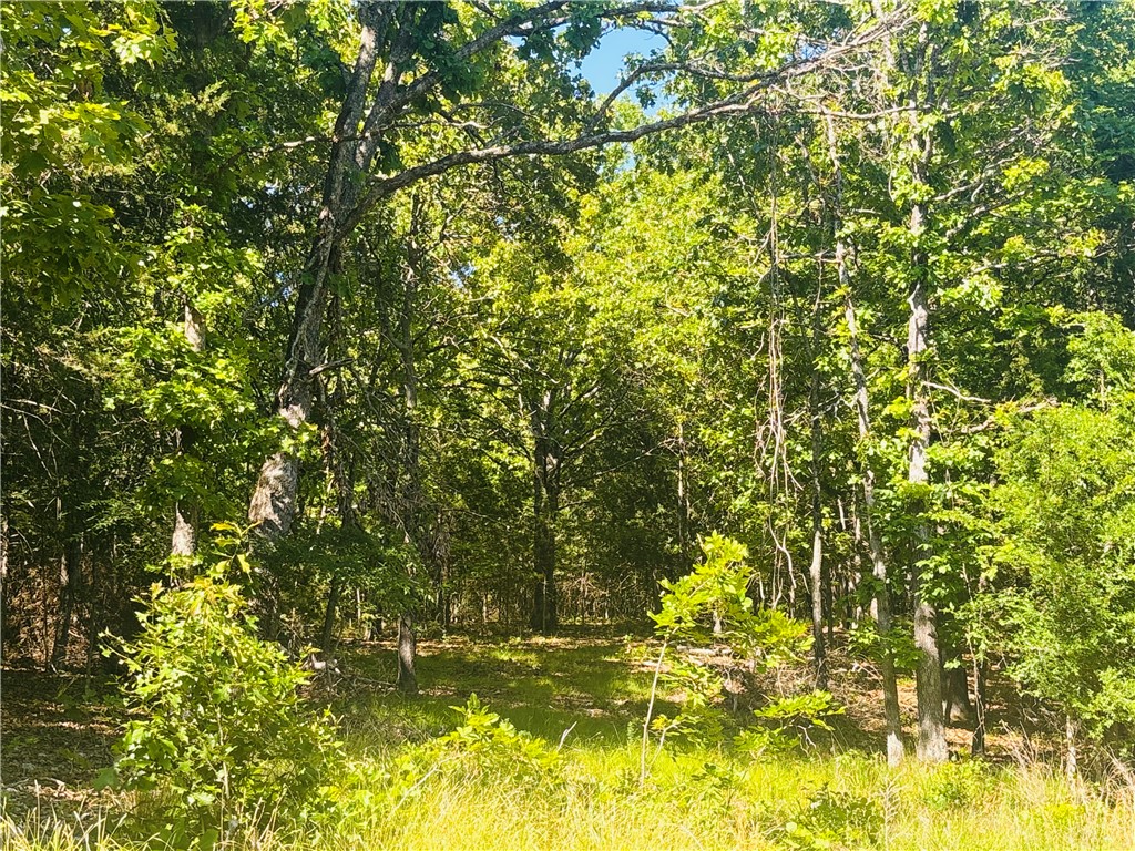 Bull Shoals Lake is minutes away, the boat launch is close, and this 2.5-acre m/l parcel — wooded and private, with power in place, a drilled well on site, and a county road leading you there — joins the Government strip. That combination is harder to find than you'd think. The infrastructure has been started. The vision is yours. Add septic, and you've got a lake-area property with no restrictions and nothing standing between you and the way you want to live out here. An old mobile home conveys at no value with the sale. Wildlife is thick, the lake is close, and the possibilities are wide open.