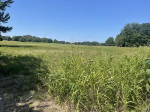 Other Subdivision - Land