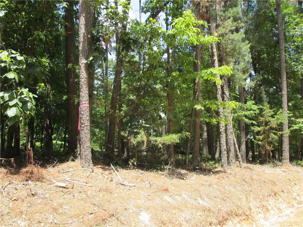 Are you looking for a beautiful piece of property to build your dream home? Look no further!! Check out this 5 acre tract that is surrounded with amenities such as War Eagle Cavern just down the road, 2.4 mile to Hobbs State Park with bike, horse, and walking trails, minutes from Beaver Lake. Escape the hustle of the city and relax here in the country!! Survey in the office. Call today to make us an offer! (extra photos are of Hobbs State Park and War Eagle Cavern)