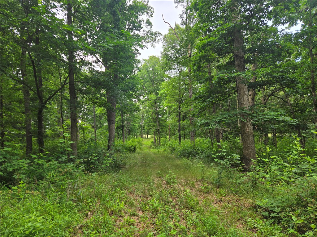 None - Land