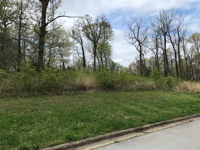 Deerfield Estates Phase I - Land