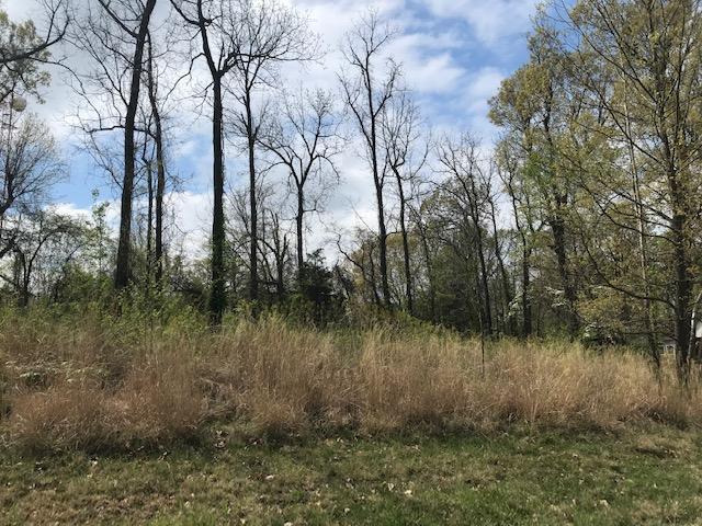 Deerfield Estates Phase I - Land
