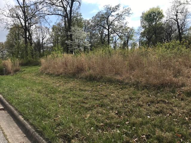 Deerfield Estates Phase I - Land