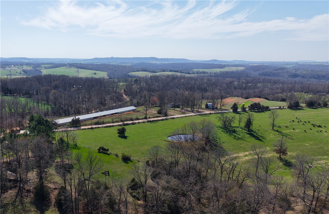 Prime opportunity for development or the creation of your own Arkansas cattle or homestead property. This beautiful 100± acre tract offers a blank canvas ready for your vision. Nearly the entire property is buildable with gently usable terrain and outstanding potential for homesites, pasture, or future development. Rural water is available at the road and the property features over 3,000 feet of frontage along County Road 8520, providing excellent access. Located just minutes from Hwy 412, allowing convenient travel to Springdale, Huntsville, and all that Northwest Arkansas has to offer while still enjoying the privacy of the countryside. The land can be divided, offering flexibility for buyers, though price per acre will increase with smaller divisions. Low property taxes. Close to War Eagle Creek and surrounded by the natural beauty the Ozarks are known for. Cross listed as MLS 1334539 (20 acres).