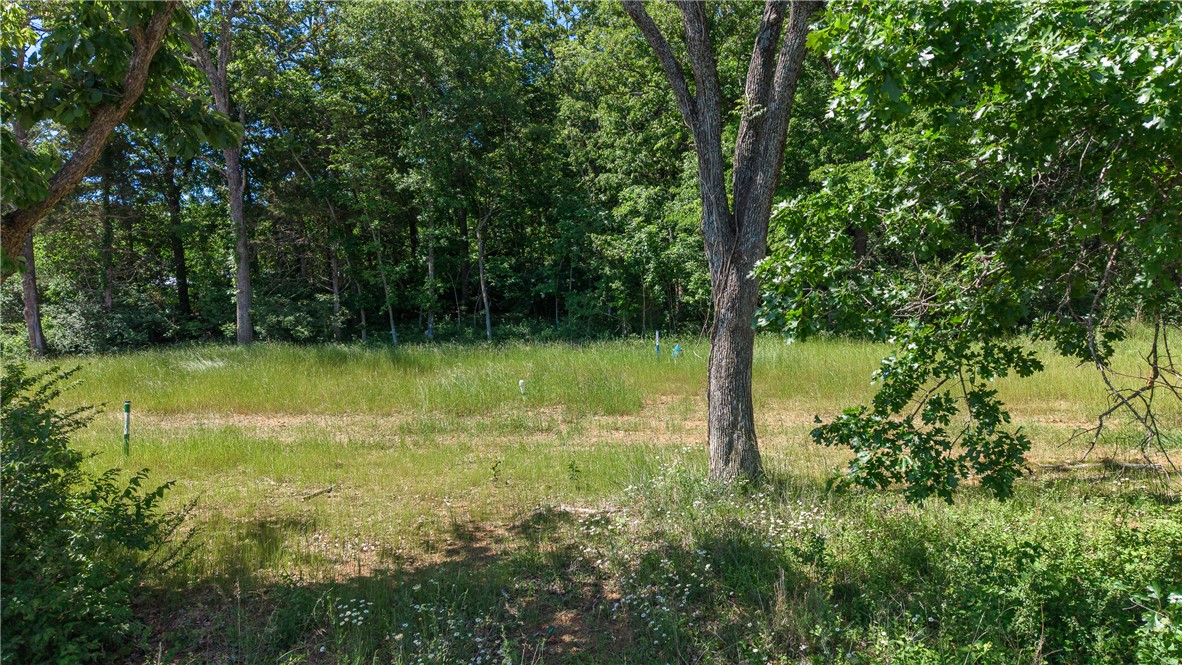 Anderson Farm - Land