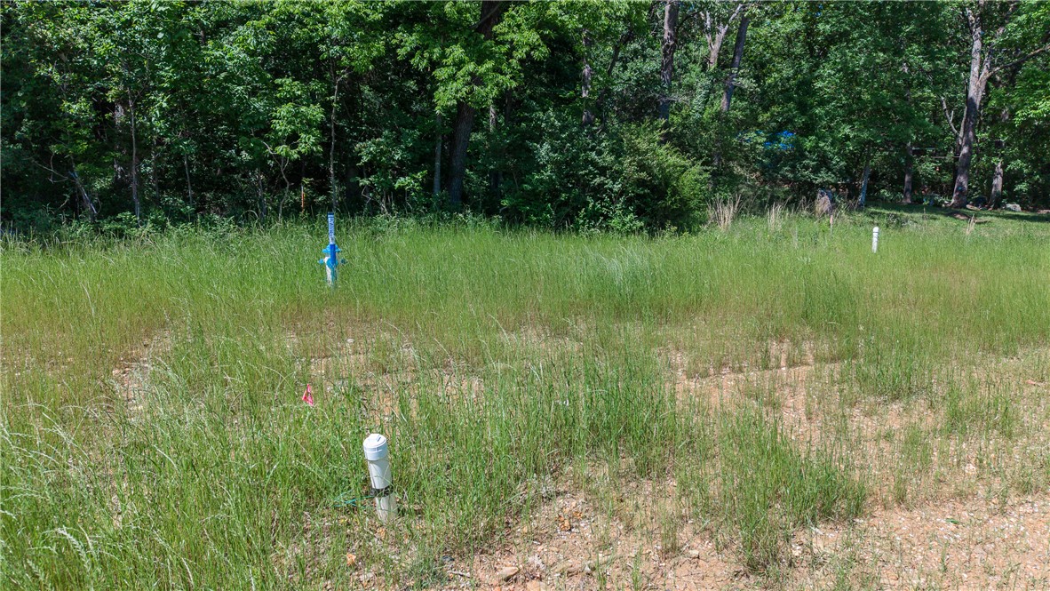 Anderson Farm - Land