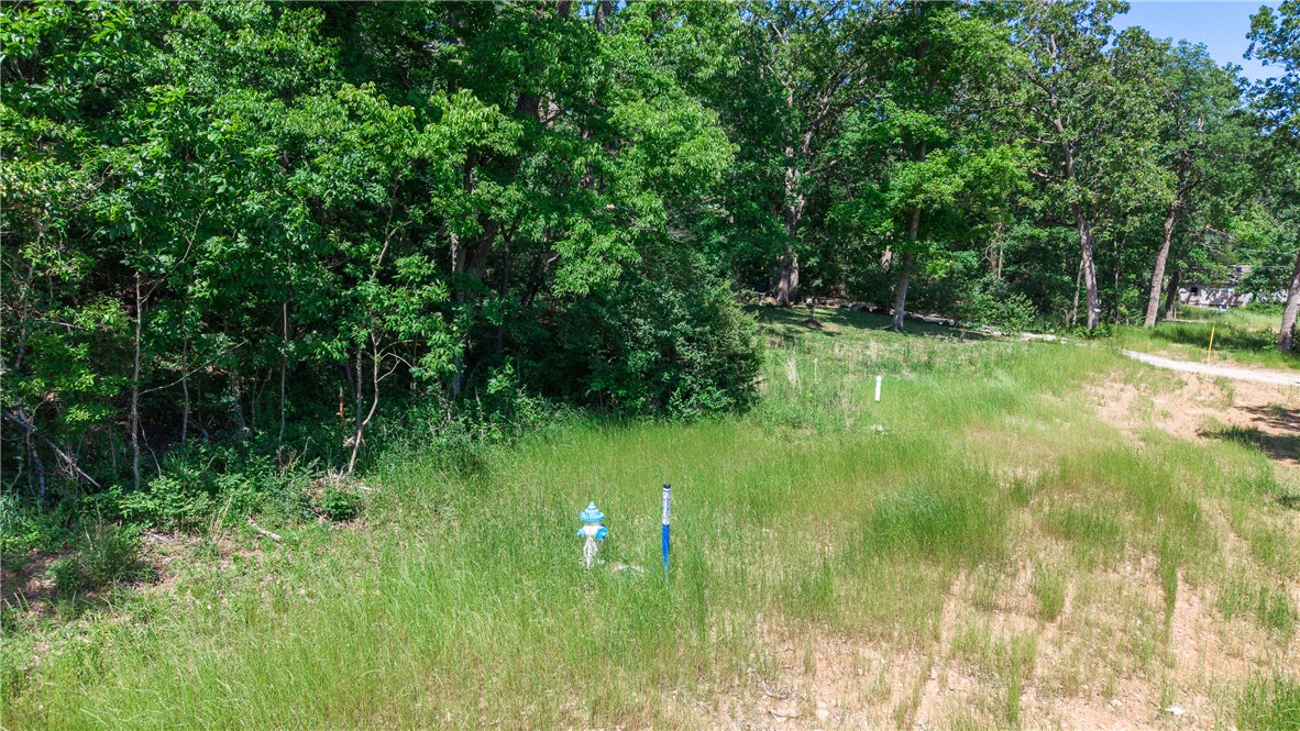 Anderson Farm - Land