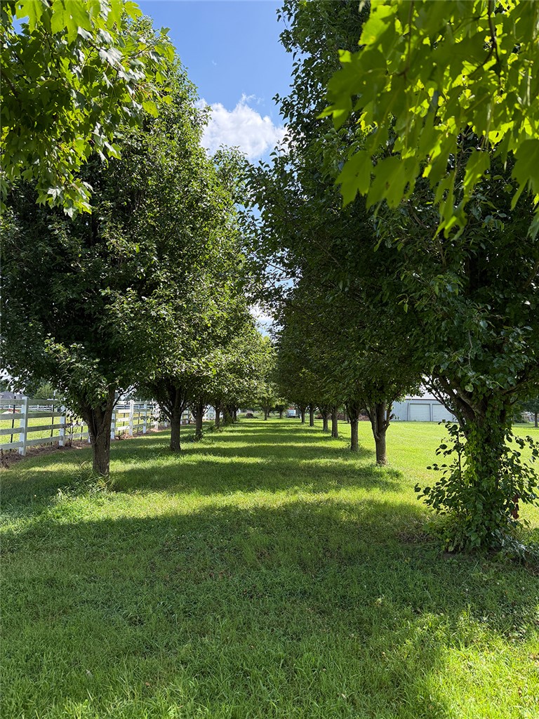 McCamey Meadows - Residential