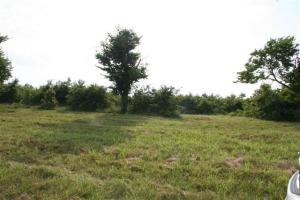 This is a great location to build a new home with lot size from 5.18 acres to 20 acres. City water.  Just off paved road. Views!! Only 15 miles from Harrison. DSL is available.