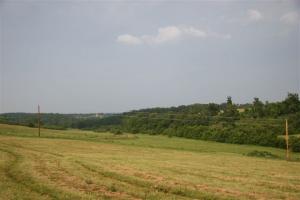 Foxwood - Land