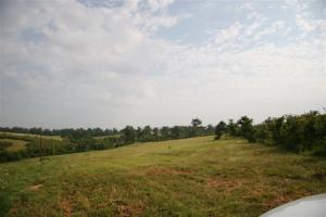 Foxwood - Land