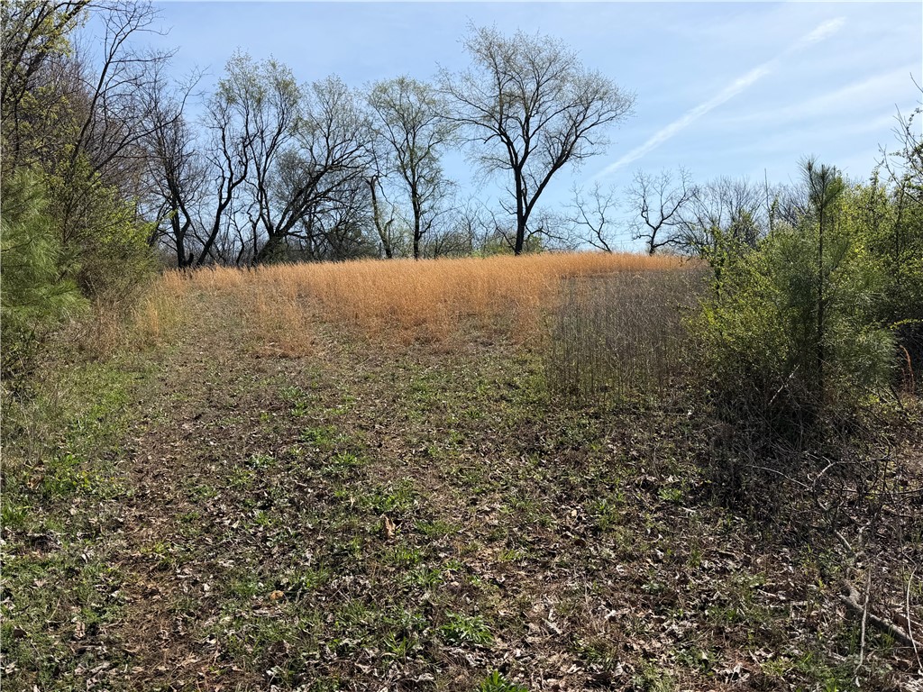 Great opportunity to own 2.30 acres in Decatur. This property is part of a recently subdivided parcel and is located in the back, offering privacy and plenty of space for future development. Conveniently located near U.S. Route 59 and just minutes from the center of town, providing easy access to local amenities while maintaining a more private setting. This tract offers excellent potential for building a home, investment, or other permitted uses. Buyers are encouraged to verify utilities, access, and zoning with the city.