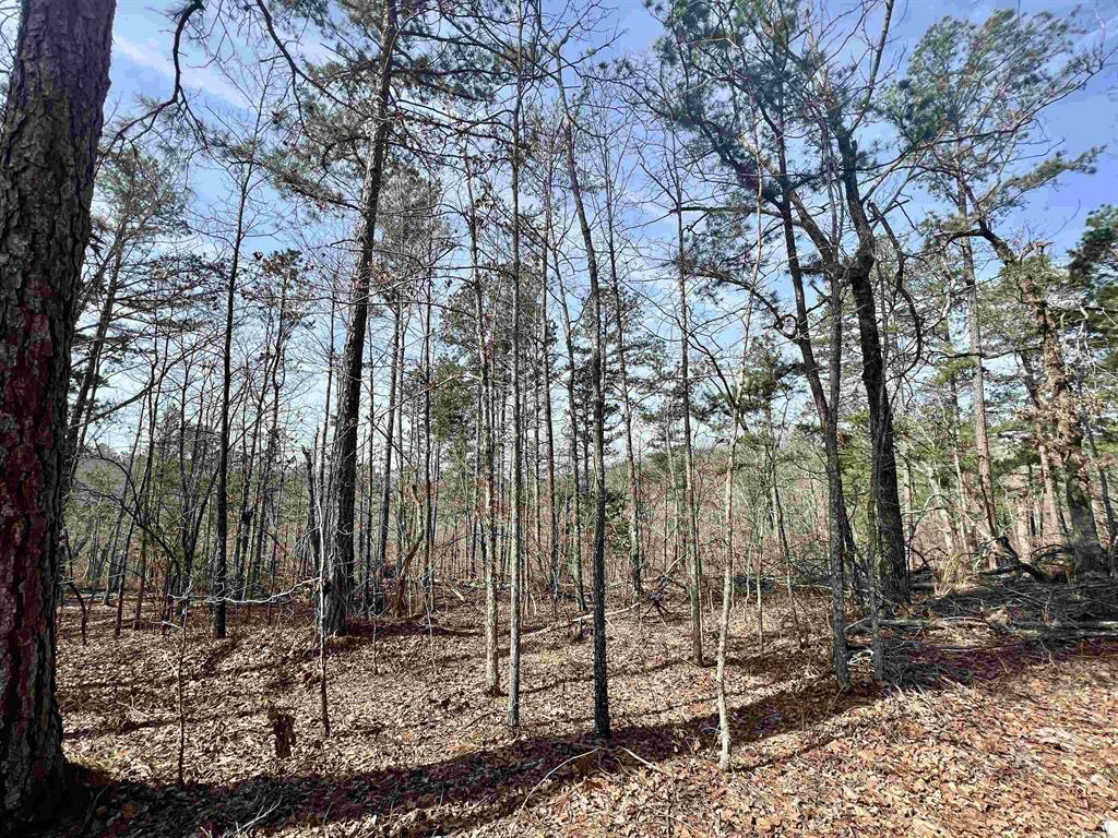 5 acres m/l.  Unrestricted, and joining Buffalo National Park Service.  Located less than ½ mile down gravel road, and within 2 miles of river
access.  Power along road at property.  Potential for good Southern views with some clearing.