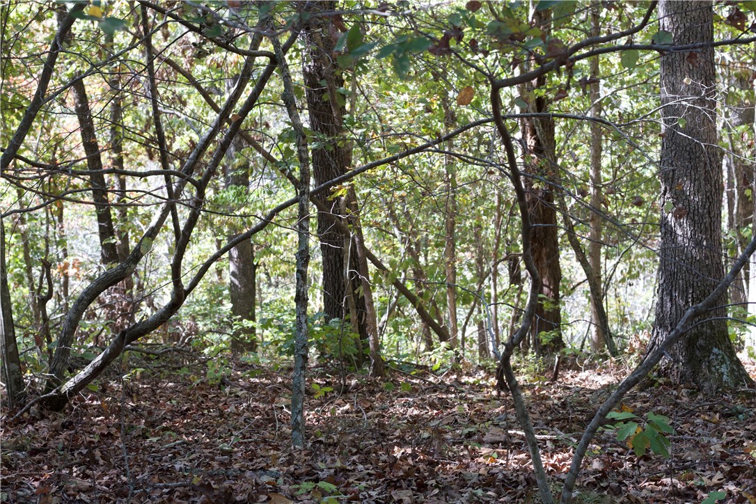 Bentonville school district! Lot is on the right side of the street. SBAT Trails directly behind the lot. Common area behind lot to provide beautiful wooded views.