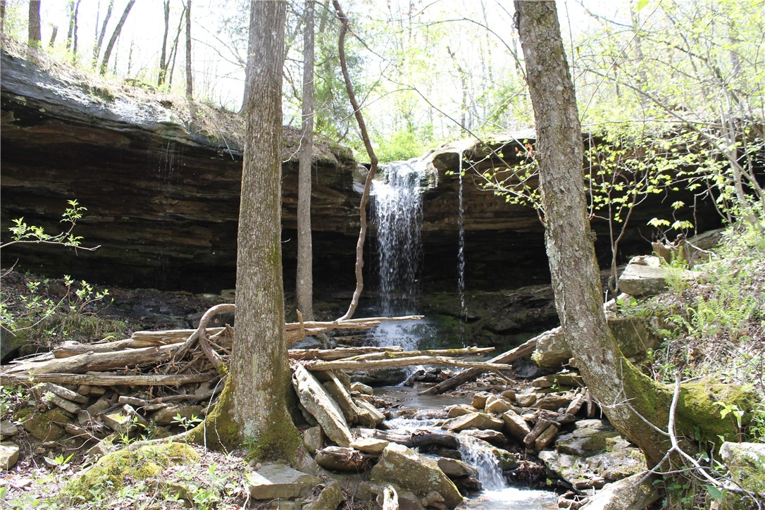 This great piece of land is near all the Buffalo River sights. Within 20 minutes of Ponca, Steel Creek, Glory Hole, Hawksbill/Whitaker Point, Buffalo National Park hiking trails etc etc I could go on and on. Very unique property with water falls and near everything  Agent owned. Awesome Ozark mountain land. See also  MLS #1180671 and 1180971. Electricity on site.