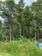 Five acres with a 400' well, electric, and an 8X12 shed and lean-to. Location is near Branson, lakes, and beautiful countryside. Build your dream home or mobile homes are ok.