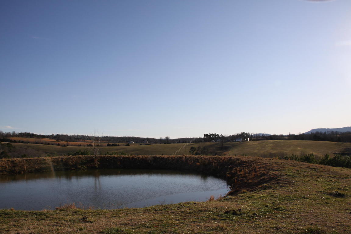 Includes the Historic Bat House Cave - 5.5 Miles to Buffalo River National Park and the Caves Accesses - Springs and ponds - Barns, impressive 393 acres Parcel with incredible views