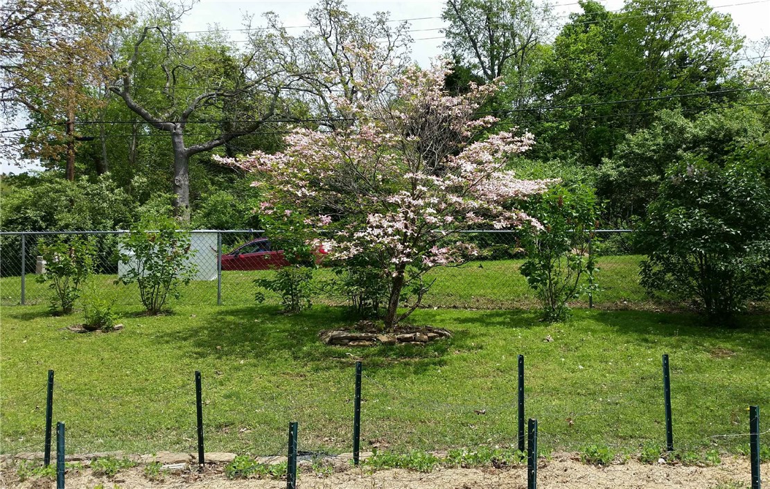 Maple Park Add - Residential